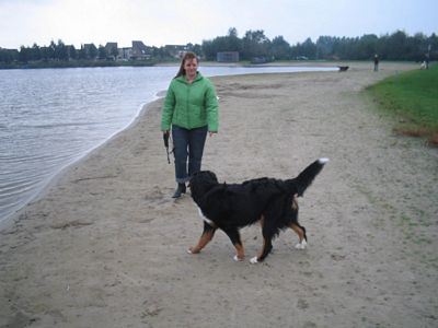 van de clemensberghoeve, Bernese Mountaindogs